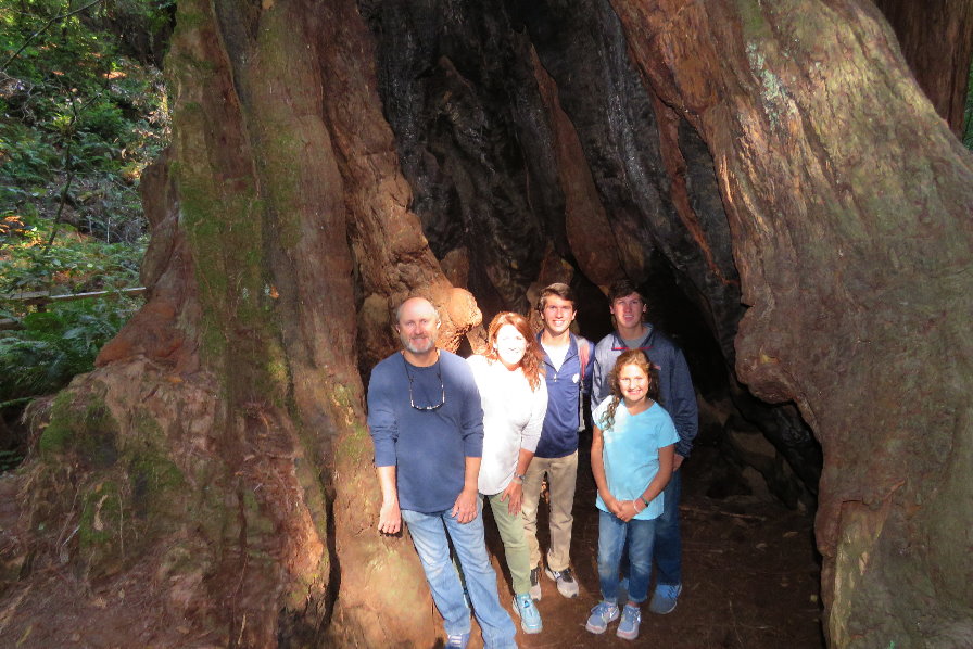 Day Trip to Muir Woods park of sequoias and  from San Francisco  family vacation.JPG
